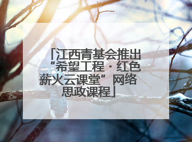 江西青基会推出“希望工程・红色薪火云课堂”网络思政课程