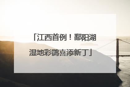 江西首例！鄱阳湖湿地彩鹮喜添新丁