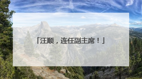 汪顺，连任副主席！