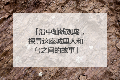 沿中轴线观鸟，探寻这座城里人和鸟之间的故事