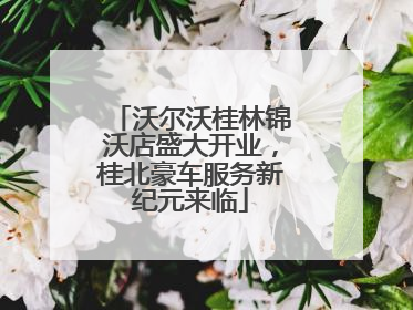 沃尔沃桂林锦沃店盛大开业，桂北豪车服务新纪元来临