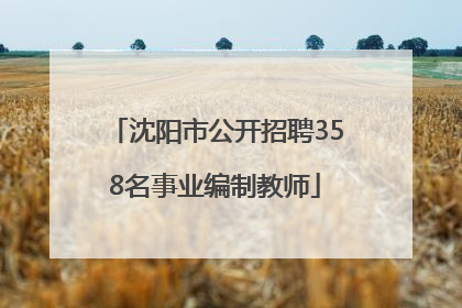 沈阳市公开招聘358名事业编制教师