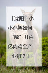 沈阳：小小鸡架如何“啄”开百亿肉鸡全产业链？
