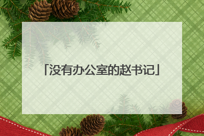 没有办公室的赵书记