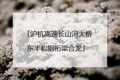 沪杭高速长山河大桥东半幅钢桁梁合龙