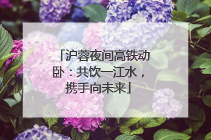 沪蓉夜间高铁动卧：共饮一江水，携手向未来