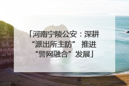 河南宁陵公安：深耕“派出所主防” 推进“警网融合”发展