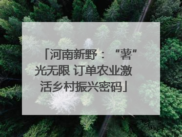 河南新野：“薯”光无限 订单农业激活乡村振兴密码