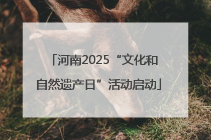 河南2025“文化和自然遗产日”活动启动