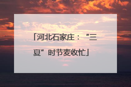河北石家庄：“三夏”时节麦收忙