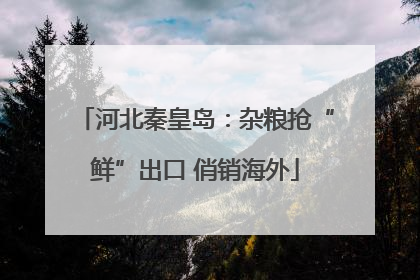 河北秦皇岛：杂粮抢“鲜”出口 俏销海外