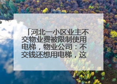 河北一小区业主不交物业费被限制使用电梯，物业公司：不交钱还想用电梯，这钱谁出？