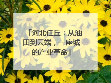 河北任丘：从油田到云端，一座城的产业革命