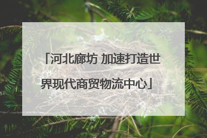 河北廊坊 加速打造世界现代商贸物流中心