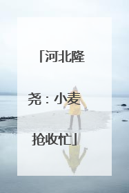 河北隆尧：小麦抢收忙