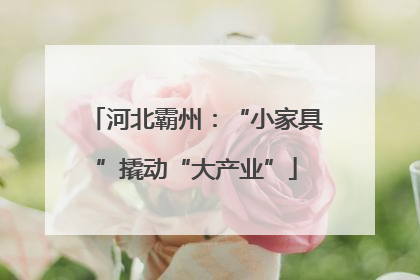 河北霸州：“小家具”撬动“大产业”