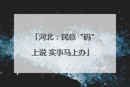 河北：民意“码”上说 实事马上办