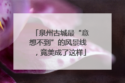 泉州古城最“意想不到”的风景线，竟美成了这样