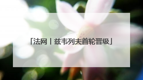 法网丨兹韦列夫首轮晋级