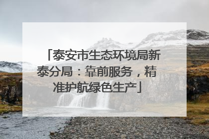 泰安市生态环境局新泰分局：靠前服务，精准护航绿色生产