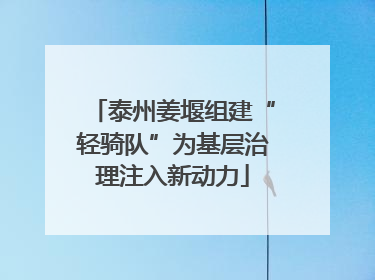 泰州姜堰组建“轻骑队”为基层治理注入新动力
