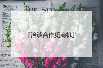 洽谈合作觅商机