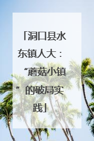 洞口县水东镇人大：“蘑菇小镇”的破局实践
