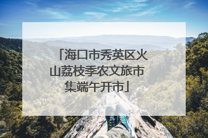 海口市秀英区火山荔枝季农文旅市集端午开市