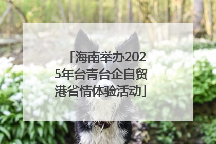 海南举办2025年台青台企自贸港省情体验活动