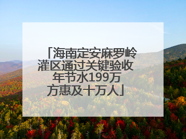 海南定安麻罗岭灌区通过关键验收 年节水199万方惠及十万人