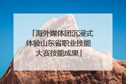 海外媒体团沉浸式体验山东省职业技能大赛技能成果