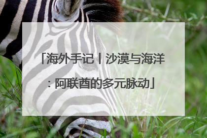 海外手记丨沙漠与海洋：阿联酋的多元脉动