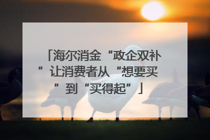 海尔消金“政企双补”让消费者从“想要买”到“买得起”
