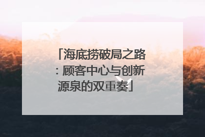 海底捞破局之路：顾客中心与创新源泉的双重奏