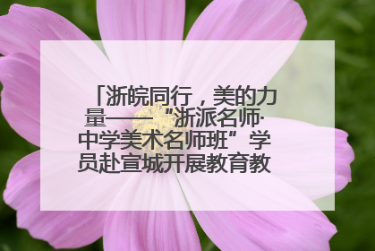 浙皖同行，美的力量——“浙派名师·中学美术名师班”学员赴宣城开展教育教学研讨活动