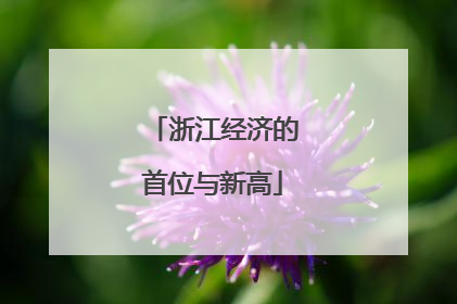 浙江经济的首位与新高