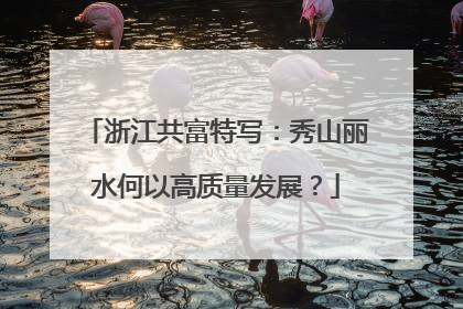 浙江共富特写：秀山丽水何以高质量发展？