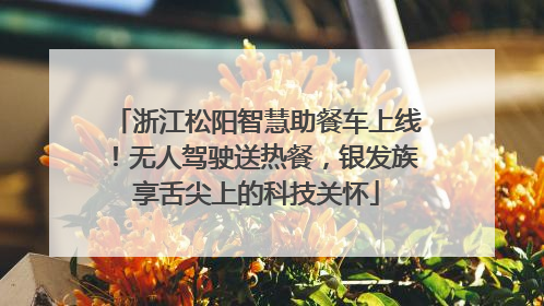 浙江松阳智慧助餐车上线！无人驾驶送热餐，银发族享舌尖上的科技关怀