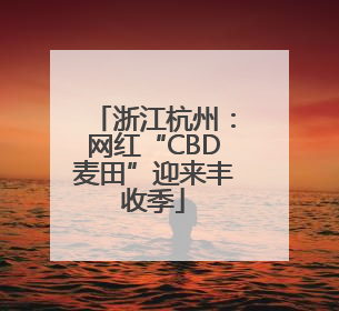 浙江杭州：网红“CBD麦田”迎来丰收季