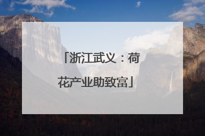 浙江武义：荷花产业助致富