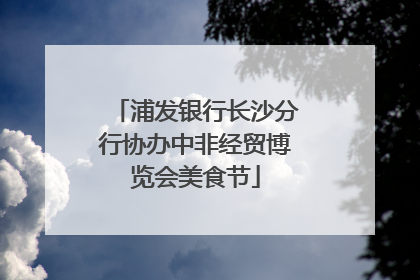 浦发银行长沙分行协办中非经贸博览会美食节
