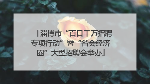 淄博市“百日千万招聘专项行动”暨“省会经济圈”大型招聘会举办