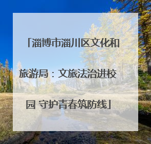 淄博市淄川区文化和旅游局：文旅法治进校园 守护青春筑防线