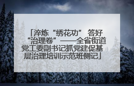 淬炼“绣花功” 答好“治理卷”——全省街道党工委副书记抓党建促基层治理培训示范班侧记