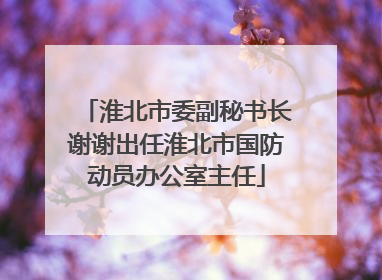 淮北市委副秘书长谢谢出任淮北市国防动员办公室主任