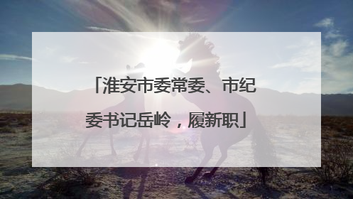 淮安市委常委、市纪委书记岳岭，履新职