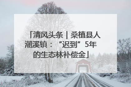 清风头条｜桑植县人潮溪镇：“迟到”5年的生态林补偿金