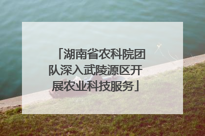 湖南省农科院团队深入武陵源区开展农业科技服务