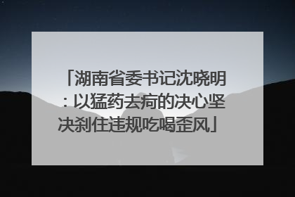 湖南省委书记沈晓明：以猛药去疴的决心坚决刹住违规吃喝歪风