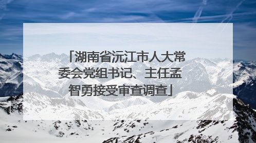 湖南省沅江市人大常委会党组书记、主任孟智勇接受审查调查